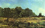 Alfred Sisley Avenue of Chestnut Trees near La Celle-Saint-Cloud oil painting reproduction